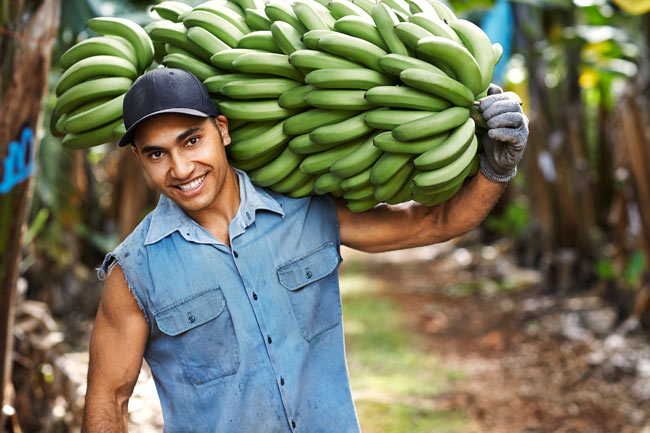 bananas